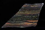 Polished Tiger Iron Stromatolite - ( Billion Years) #75829-1
